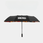 parapluie ouvert vu de coté Cropped_cleanup
